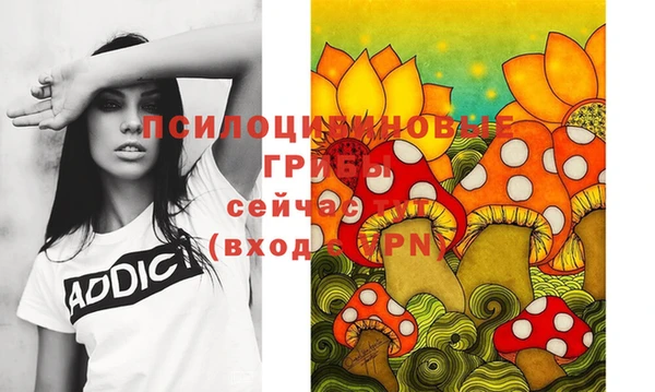 скорость Алексин