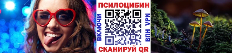 KRAKEN зеркало  Полысаево  Псилоцибиновые грибы Psilocybine cubensis  купить закладку 